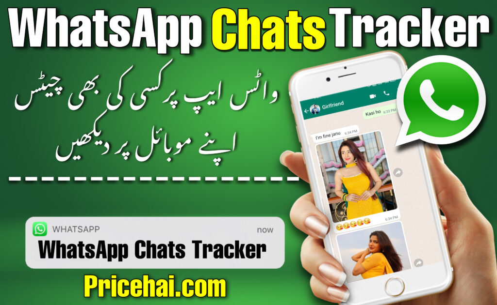 How to Check Your WhatsApp Chat History and Details