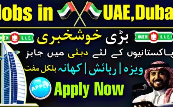 Dubai Latest Jobs In 2023