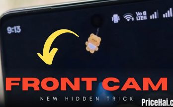 Front Camera Gesture Experience with Pet On Screen Shimeji Kawaii on Android